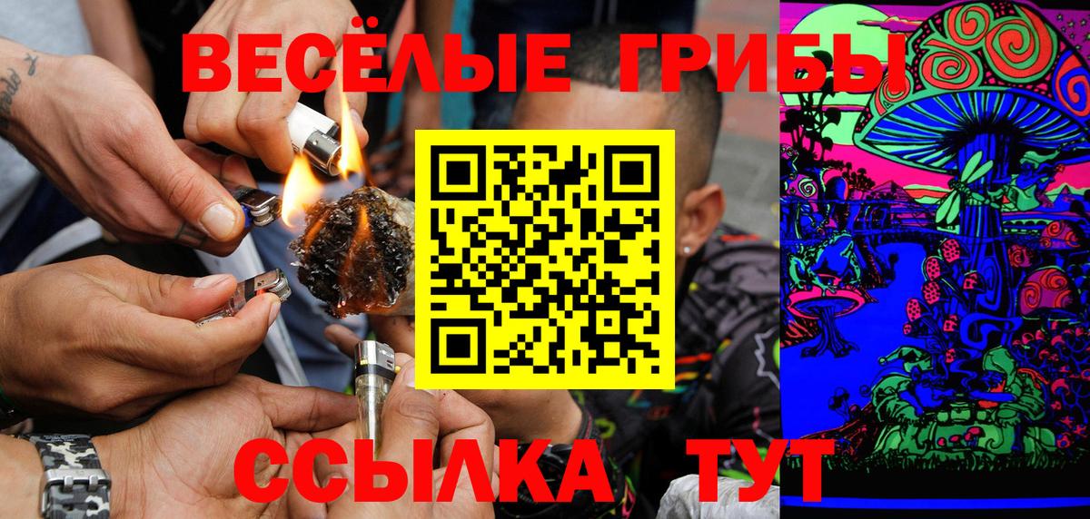 Галлюциногенные грибы Черняховск