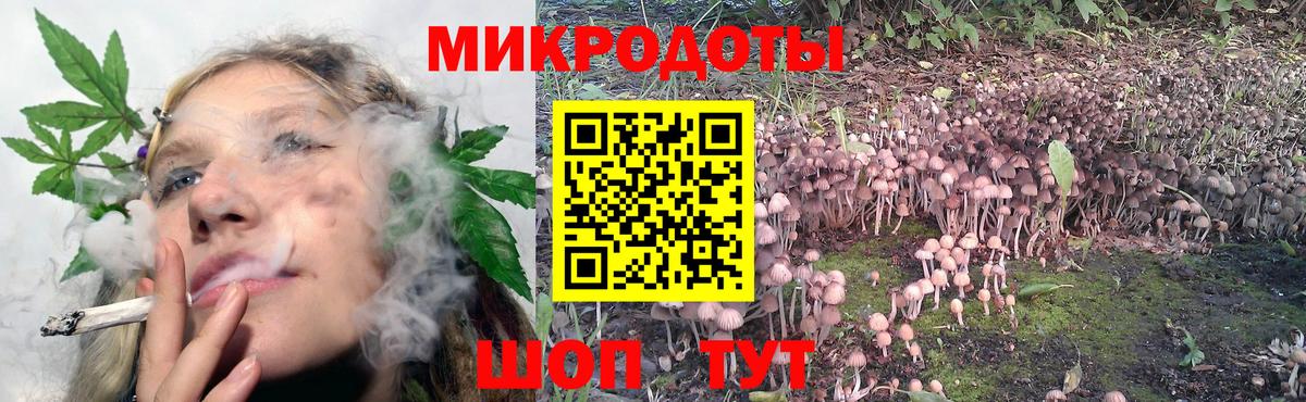 купить   Галлюциногенные грибы мухоморы  Галлюциногенные грибы Cubensis  Вход с VPN  Черняховск 